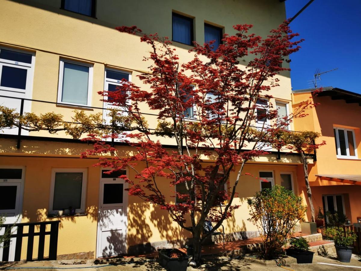 Hotel Goldene Krone 米斯特尔巴赫 外观 照片